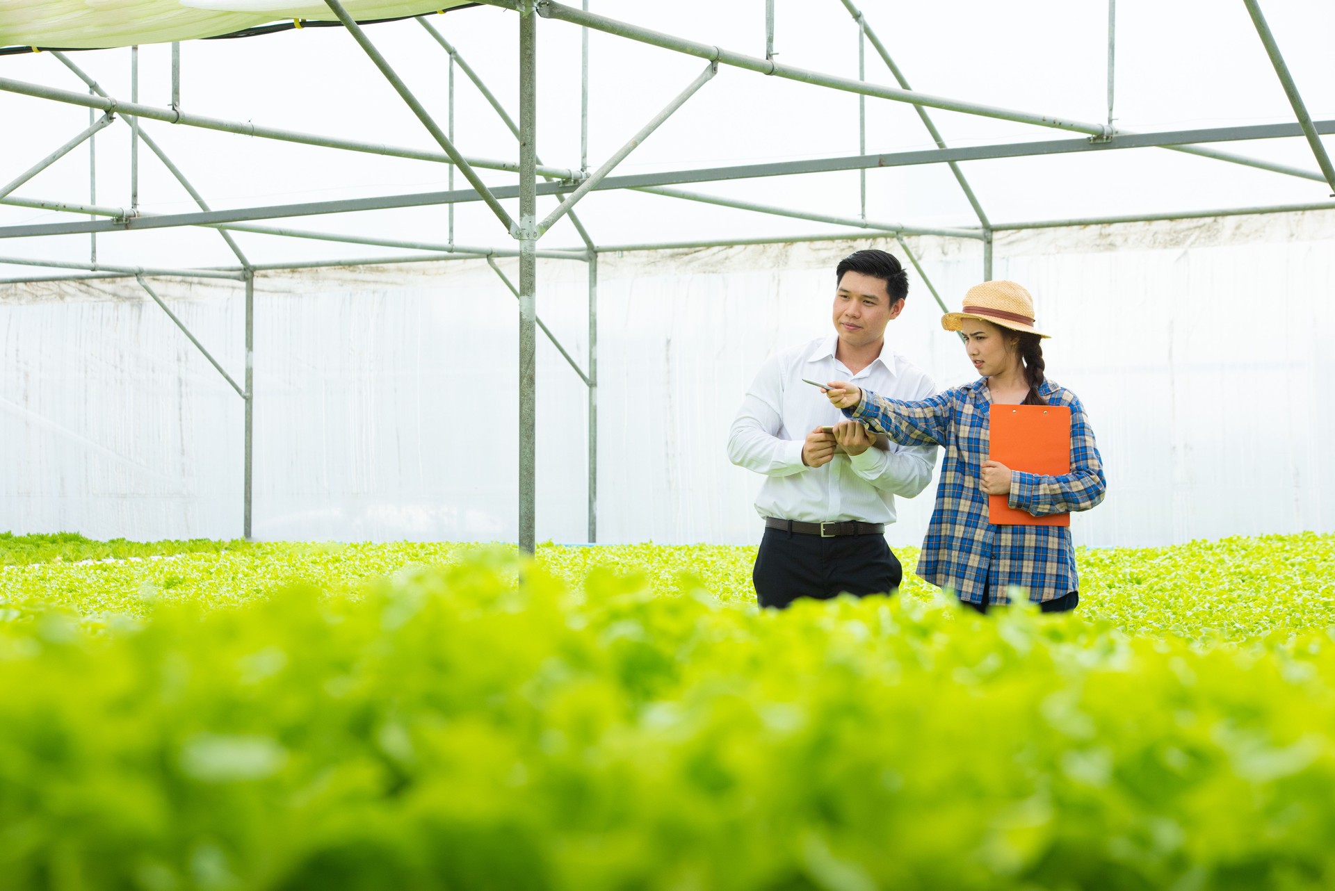 Small business entrepreneur and organic vegetable farm concept.